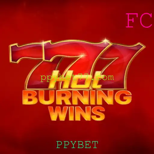 Descubra as Emoções de HotBurningWins com PPYBET